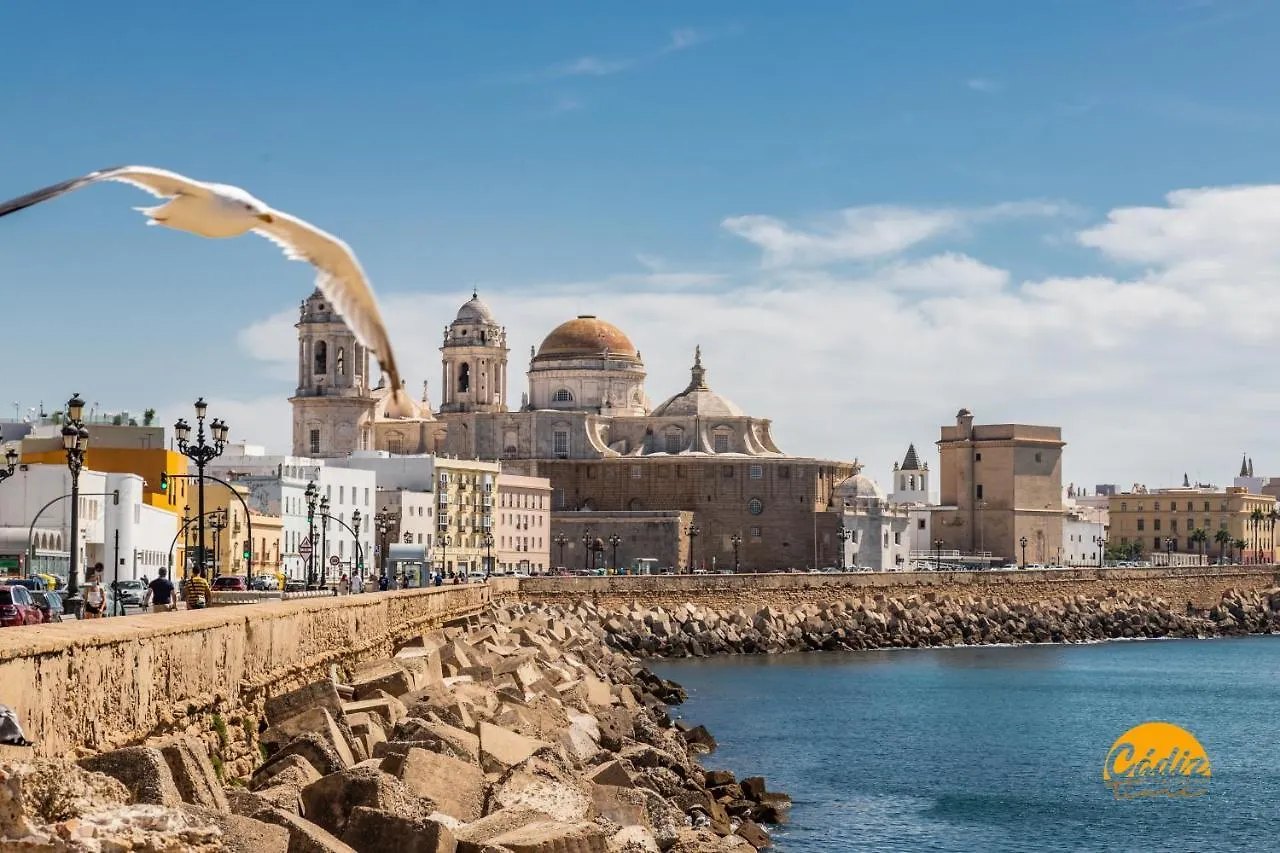 Atico Catedral By Cadiz Time Apartment